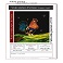 image miniature de la Peinture vitrail 228